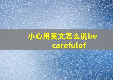 小心用英文怎么说be carefulof